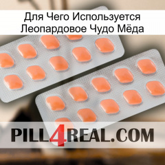 Для Чего Используется Леопардовое Чудо Мёда 27